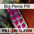 Big Penis Pill 09